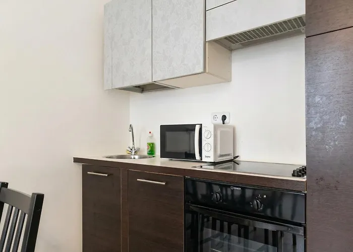 Affordable 2br Next To Rennweg & Belvedere Viena